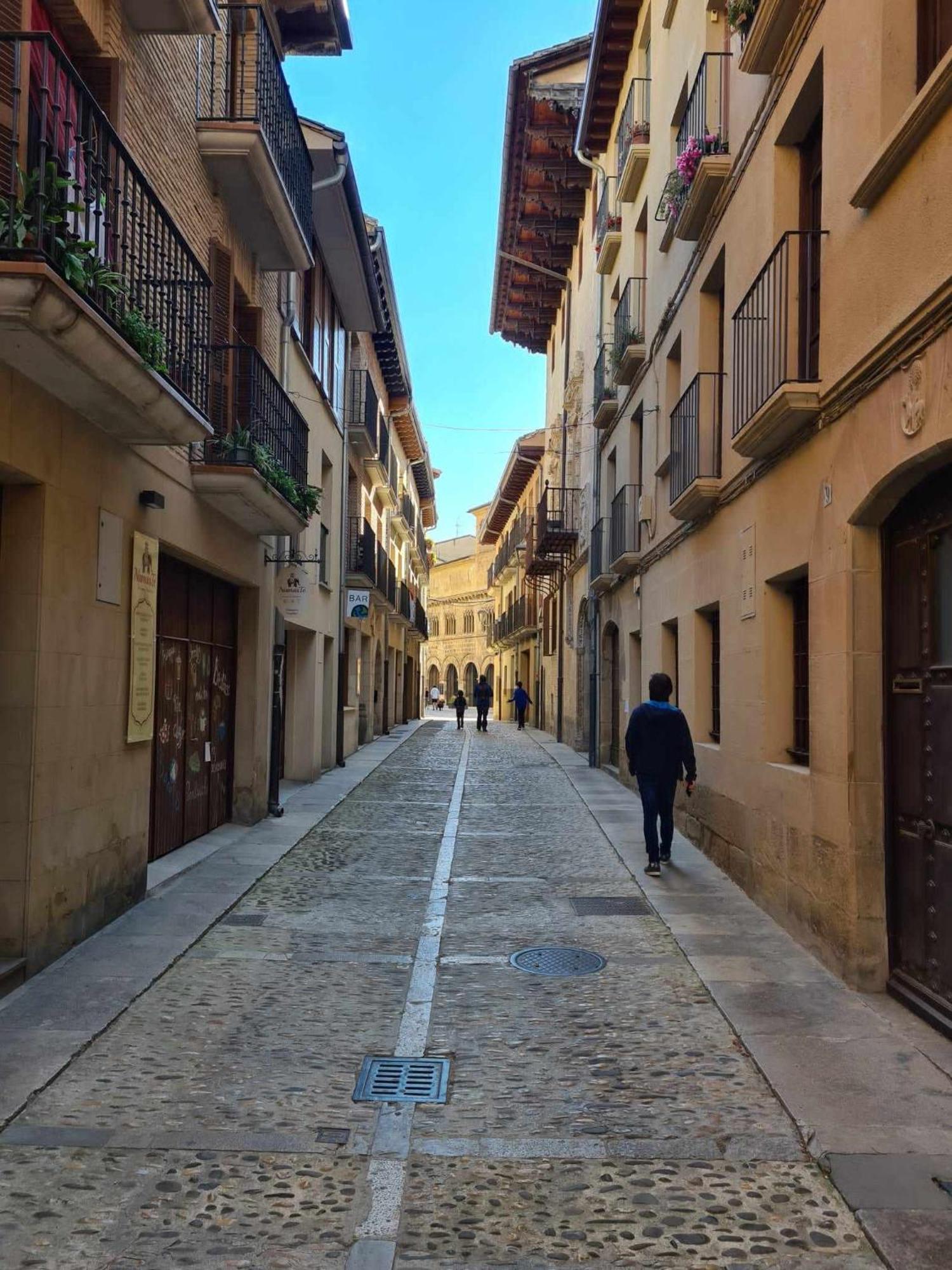 Appartamento Ábside de San Juan I Estella Esterno foto